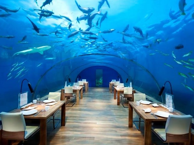 Ithaa Undersea Restaurant, Rangali Adası, Maldivler