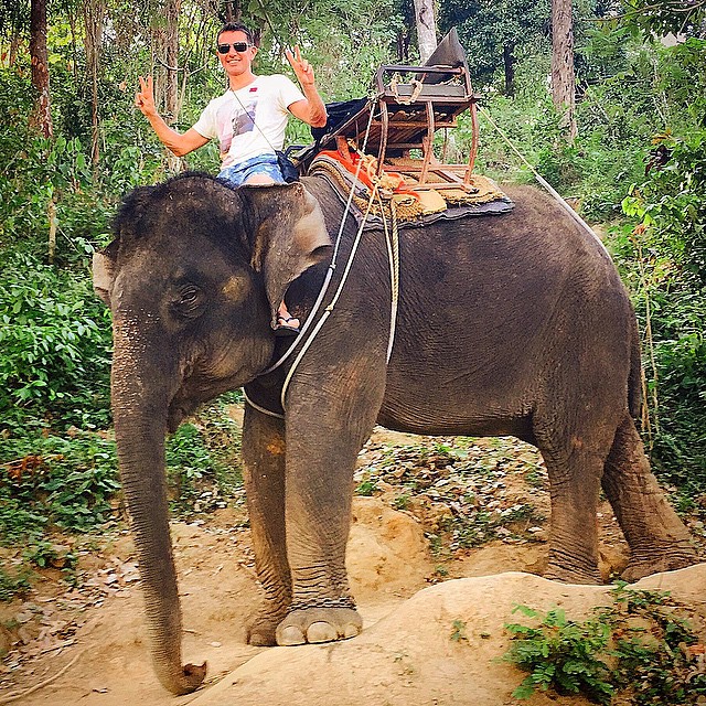 Tayland - Phuket - Fil Safari