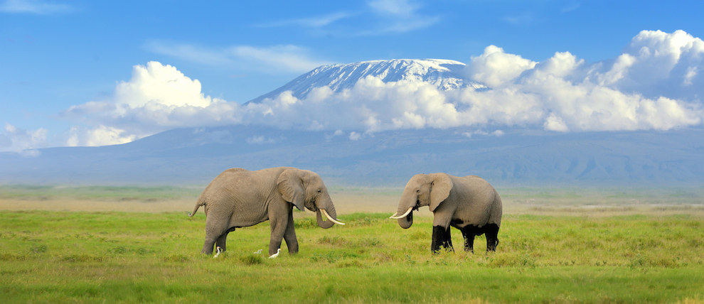Tanzanya-Kilimanjaro-Dağı