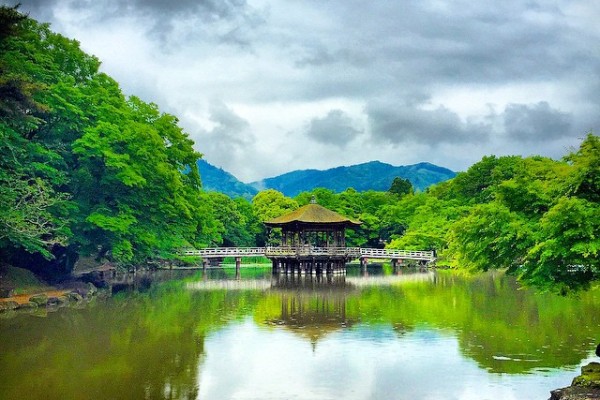 Japonya Kyoto - Nara Park