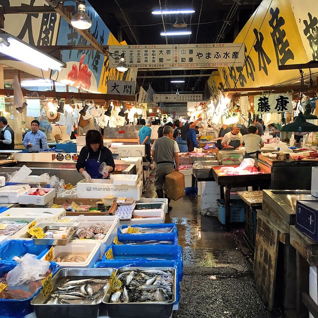 Japonya Tokyo - Tsukiji balık pazarı