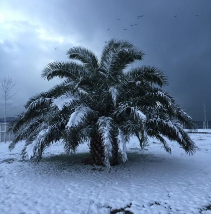 İstanbul Karlar Altında!