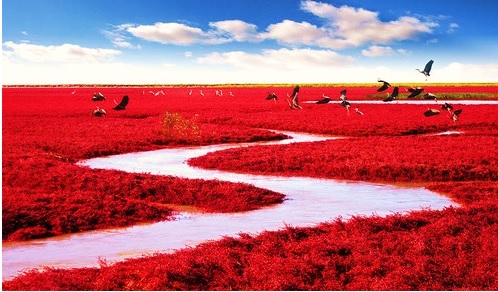 Kırmızı Sahil, Panjin, China