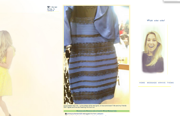Sizce bu elbise hangi renk?